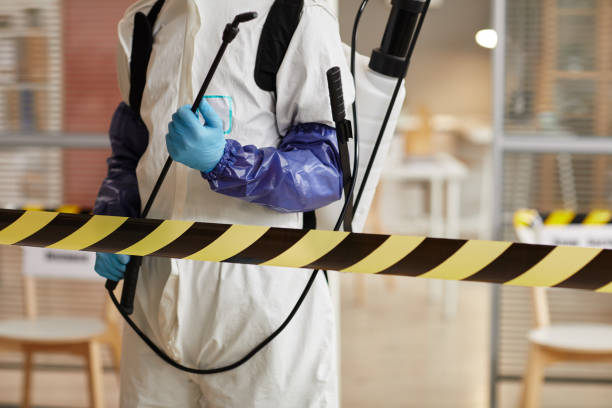 Professional Infectious Disease Decontamination technician working in Petersburg, MI